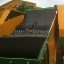 Potato Processing Belt