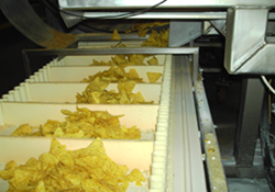 Tortilla Chip Belt
