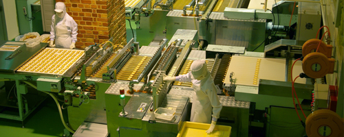 Cookie Conveyor Belt Assembly Line