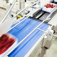 Fruit Packaging