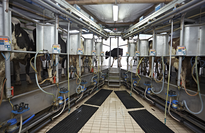 Dairy Hose Application